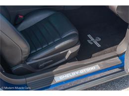 2009 Shelby GT500 (CC-1573640) for sale in Ocala, Florida