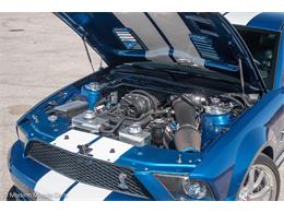 2009 Shelby GT500 (CC-1573640) for sale in Ocala, Florida