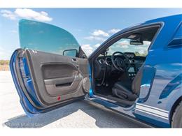 2009 Shelby GT500 (CC-1573640) for sale in Ocala, Florida