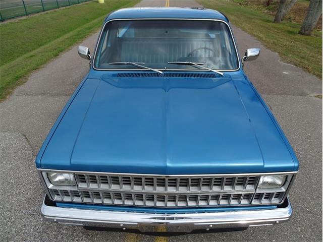 1981 Chevrolet Scottsdale (CC-1574892) for sale in Palmetto, Florida