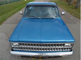1981 Chevrolet Scottsdale (CC-1574892) for sale in Palmetto, Florida