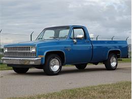1981 Chevrolet Scottsdale (CC-1574892) for sale in Palmetto, Florida