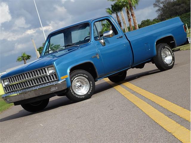 1981 Chevrolet Scottsdale (CC-1574892) for sale in Palmetto, Florida
