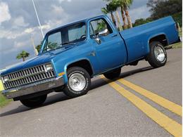 1981 Chevrolet Scottsdale (CC-1574892) for sale in Palmetto, Florida
