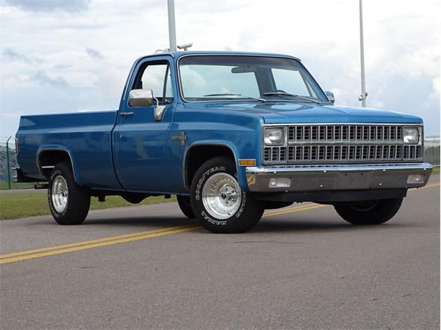 1981 Chevrolet Scottsdale (CC-1574892) for sale in Palmetto, Florida