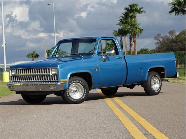 1981 Chevrolet Scottsdale (CC-1574892) for sale in Palmetto, Florida