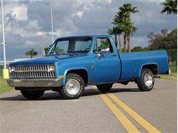 1981 Chevrolet Scottsdale (CC-1574892) for sale in Palmetto, Florida
