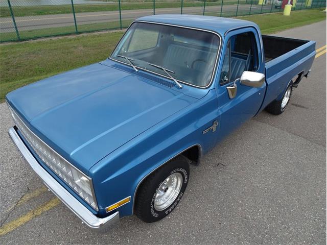1981 Chevrolet Scottsdale (CC-1574892) for sale in Palmetto, Florida