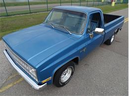 1981 Chevrolet Scottsdale (CC-1574892) for sale in Palmetto, Florida