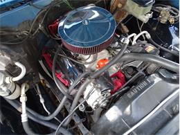 1981 Chevrolet Scottsdale (CC-1574892) for sale in Palmetto, Florida