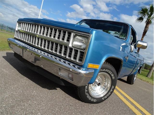 1981 Chevrolet Scottsdale (CC-1574892) for sale in Palmetto, Florida