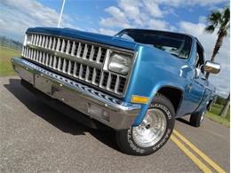 1981 Chevrolet Scottsdale (CC-1574892) for sale in Palmetto, Florida