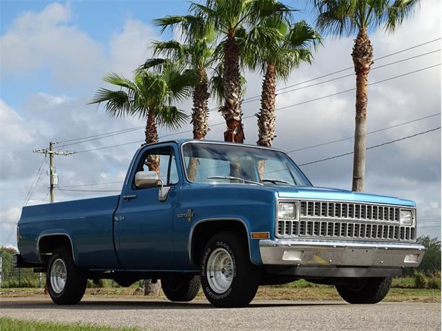 1981 Chevrolet Scottsdale (CC-1574892) for sale in Palmetto, Florida