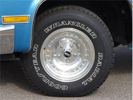 1981 Chevrolet Scottsdale (CC-1574892) for sale in Palmetto, Florida
