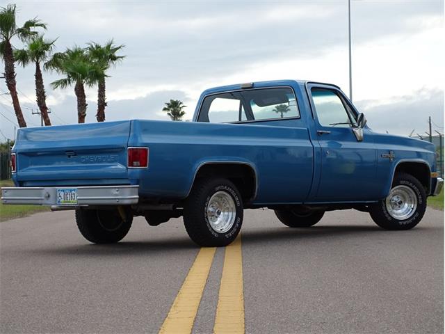 1981 Chevrolet Scottsdale (CC-1574892) for sale in Palmetto, Florida