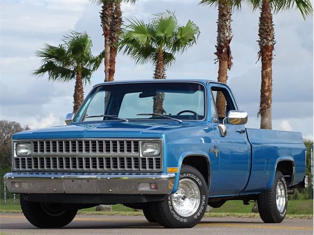 1981 Chevrolet Scottsdale (CC-1574892) for sale in Palmetto, Florida
