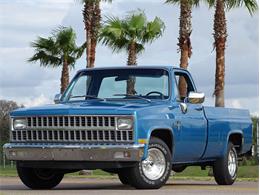 1981 Chevrolet Scottsdale (CC-1574892) for sale in Palmetto, Florida