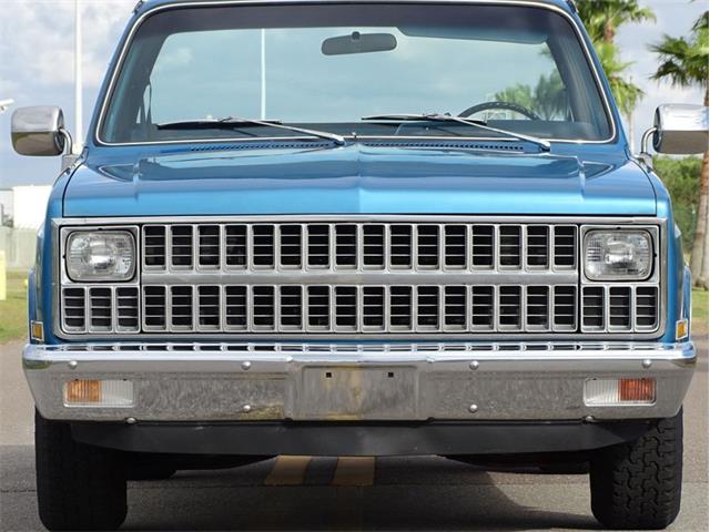 1981 Chevrolet Scottsdale (CC-1574892) for sale in Palmetto, Florida
