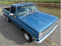 1981 Chevrolet Scottsdale (CC-1574892) for sale in Palmetto, Florida