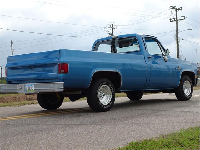 1981 Chevrolet Scottsdale (CC-1574892) for sale in Palmetto, Florida