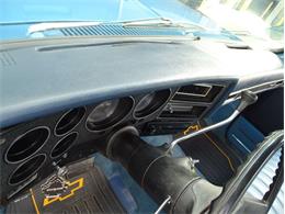 1981 Chevrolet Scottsdale (CC-1574892) for sale in Palmetto, Florida