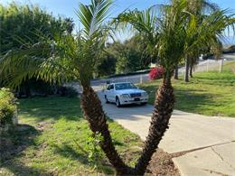 2000 Mercedes-Benz C-Class (CC-1575036) for sale in Riverside, California