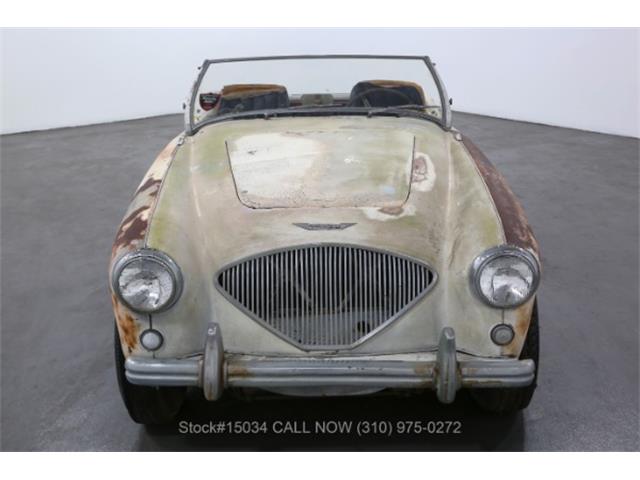 1954 Austin-Healey 100-4 (CC-1575198) for sale in Beverly Hills, California