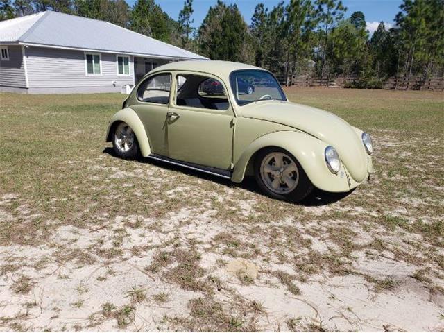 1966 Volkswagen Beetle (CC-1575274) for sale in Cadillac, Michigan