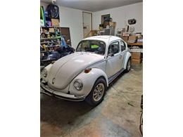 1972 Volkswagen Super Beetle (CC-1570554) for sale in Cadillac, Michigan