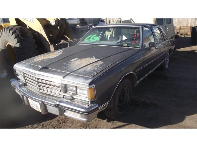 1984 Chevrolet Caprice (CC-1575906) for sale in Phoenix, Arizona