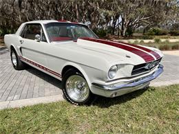 1965 Ford Mustang (CC-1576408) for sale in Tampa, Florida