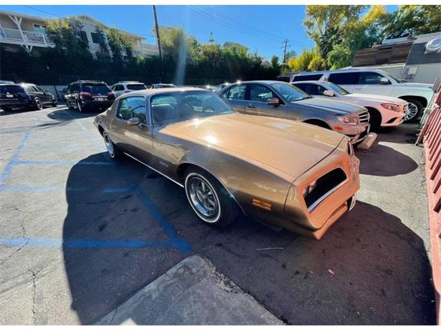 1977 Pontiac Firebird (CC-1576951) for sale in Cadillac, Michigan