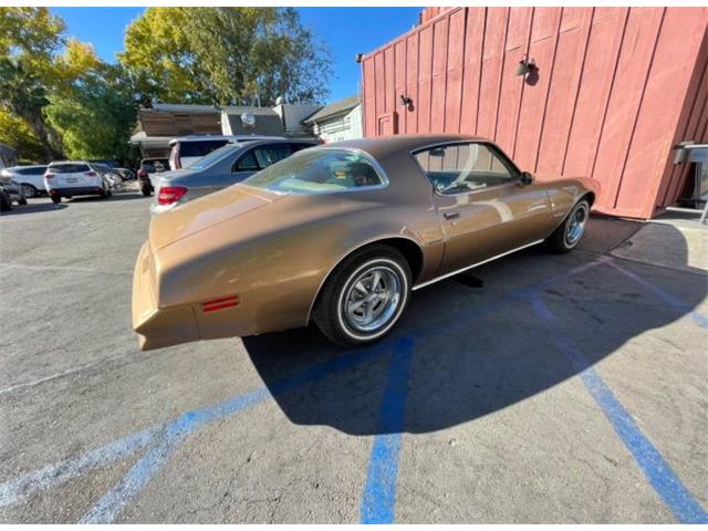 1977 Pontiac Firebird (CC-1576951) for sale in Cadillac, Michigan