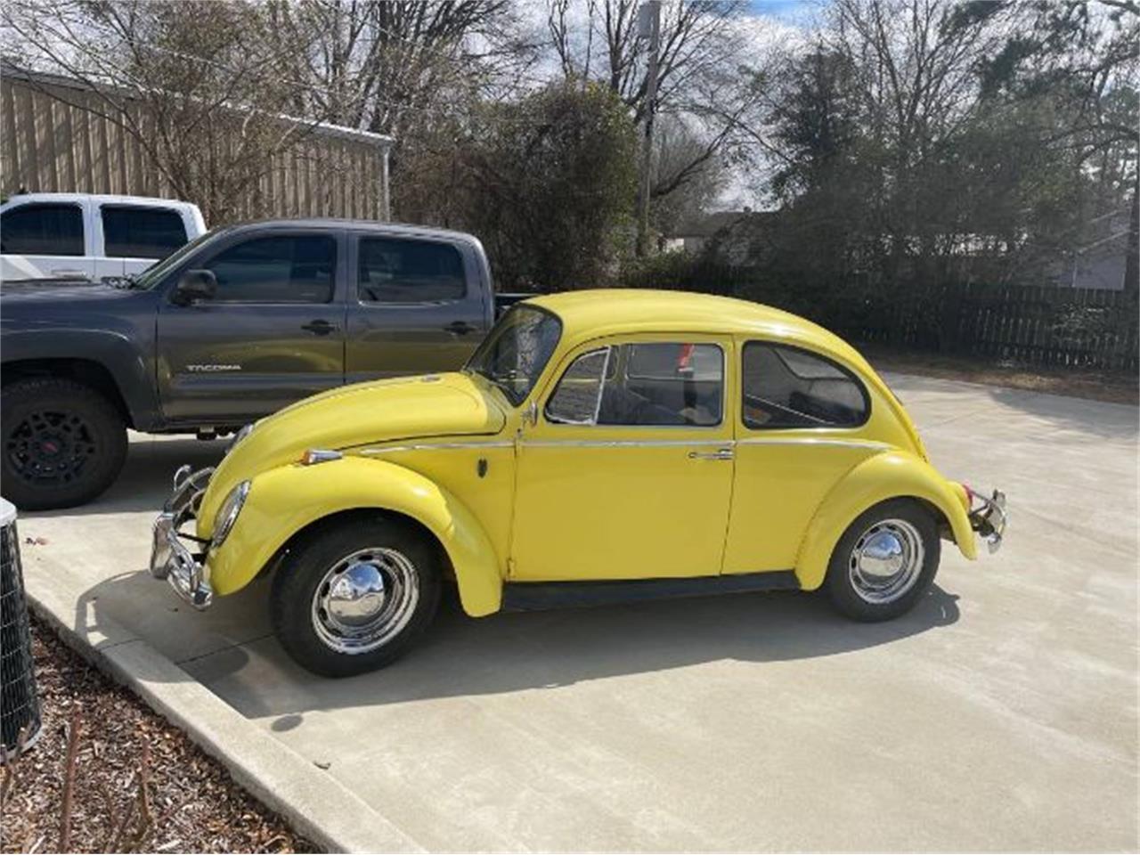 1966 Volkswagen Beetle for Sale | ClassicCars.com | CC-1577221