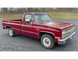1981 Chevrolet C10 (CC-1578470) for sale in West Chester, Pennsylvania