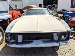 1973 Ford Mustang (CC-1579477) for sale in Cadillac, Michigan
