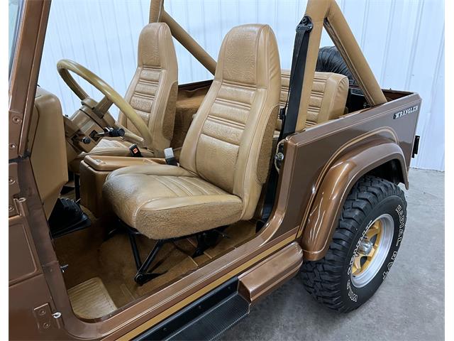 1987 Jeep Wrangler (CC-1570949) for sale in Maple Lake, Minnesota
