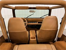 1987 Jeep Wrangler (CC-1570949) for sale in Maple Lake, Minnesota
