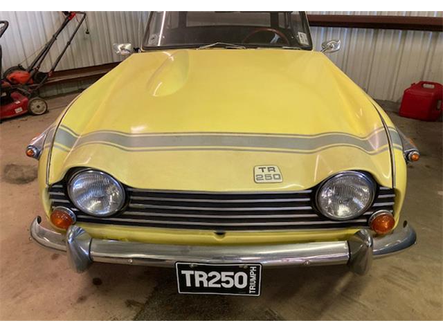 1968 Triumph TR250 (CC-1581101) for sale in Orlando, Florida