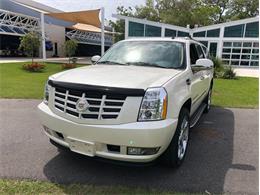 2013 Cadillac Escalade (CC-1581796) for sale in Palmetto, Florida