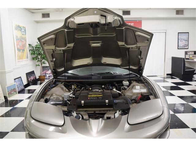 2002 Pontiac Firebird Trans Am WS6 (CC-1582449) for sale in Fredericksburg, Virginia