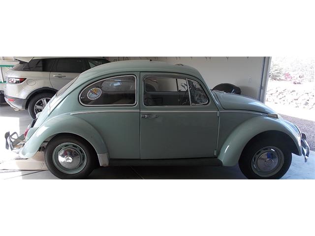 1966 Volkswagen Beetle (CC-1582474) for sale in Tucson, Arizona