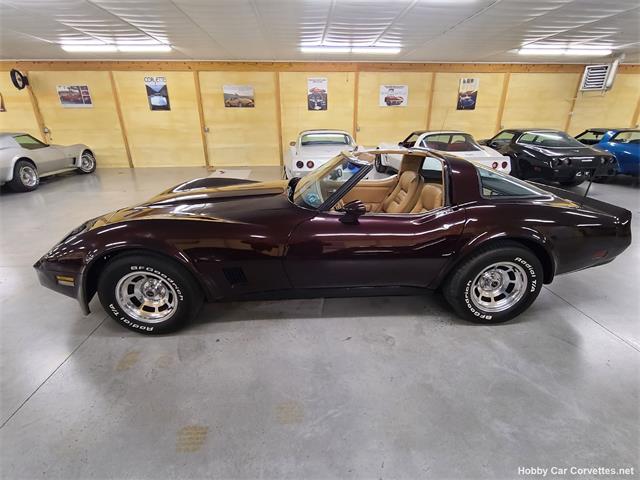 1981 Chevrolet Corvette (CC-1582670) for sale in martinsburg, Pennsylvania