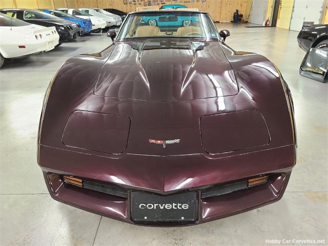 1981 Chevrolet Corvette (CC-1582670) for sale in martinsburg, Pennsylvania