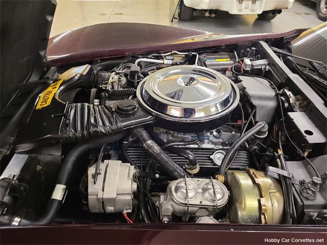 1981 Chevrolet Corvette (CC-1582670) for sale in martinsburg, Pennsylvania