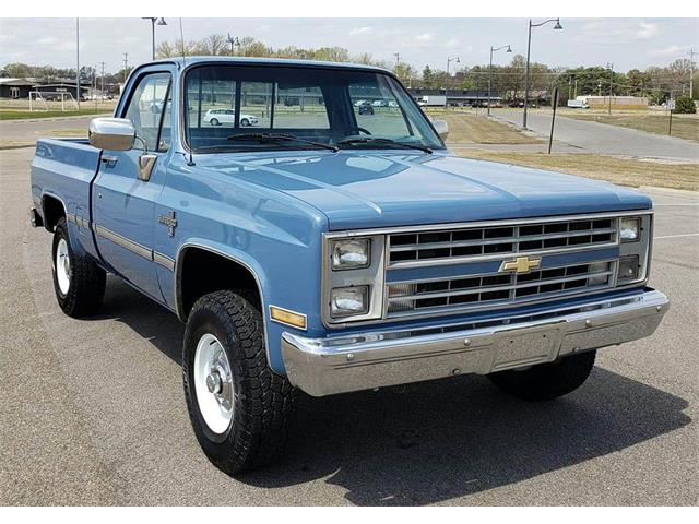 1987 Chevrolet Pickup (CC-1580273) for sale in Orlando, Florida