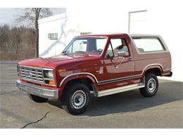 1986 Ford Bronco (CC-1582795) for sale in Springfield, Massachusetts