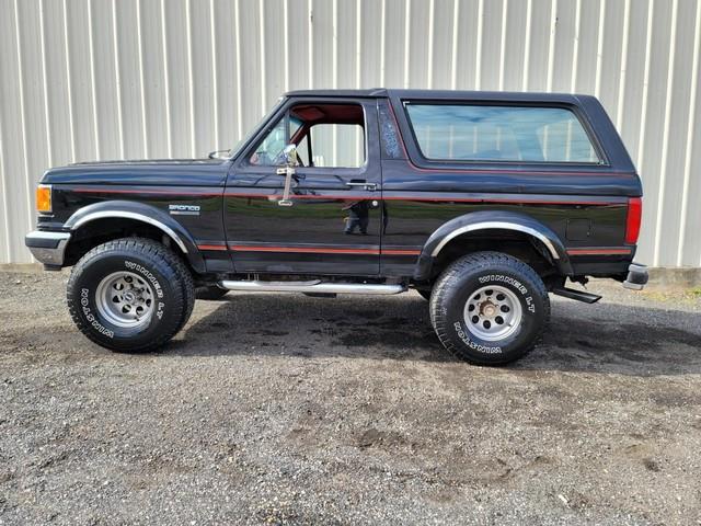 1988 Ford Bronco (CC-1583134) for sale in Linthicum, Maryland