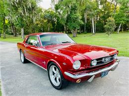 1966 Ford Mustang (CC-1583158) for sale in Ocala, Florida