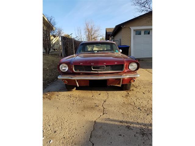 1966 Ford Mustang (CC-1583497) for sale in Denver, Colorado